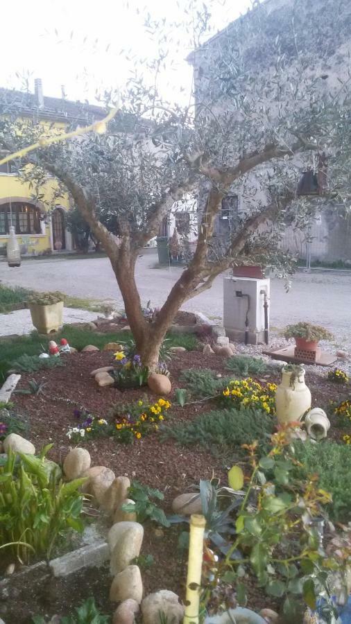 B&B Peschi In Fiore Valeggio sul Mincio Zewnętrze zdjęcie